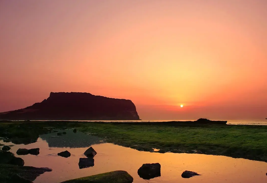 2025 제주도 여름휴가 완벽 가이드|해변, 맛집, 액티비티까지!