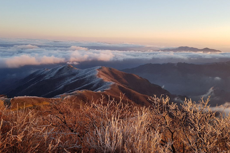 덕유산 케이블카