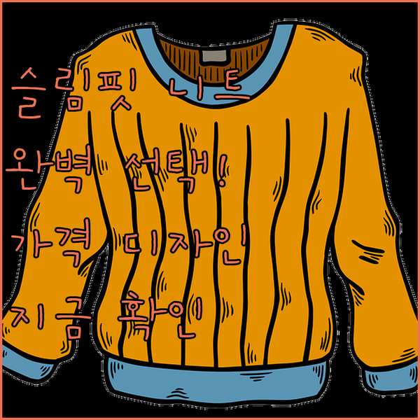 여성 슬림핏 니트, 디자인부터 가격까