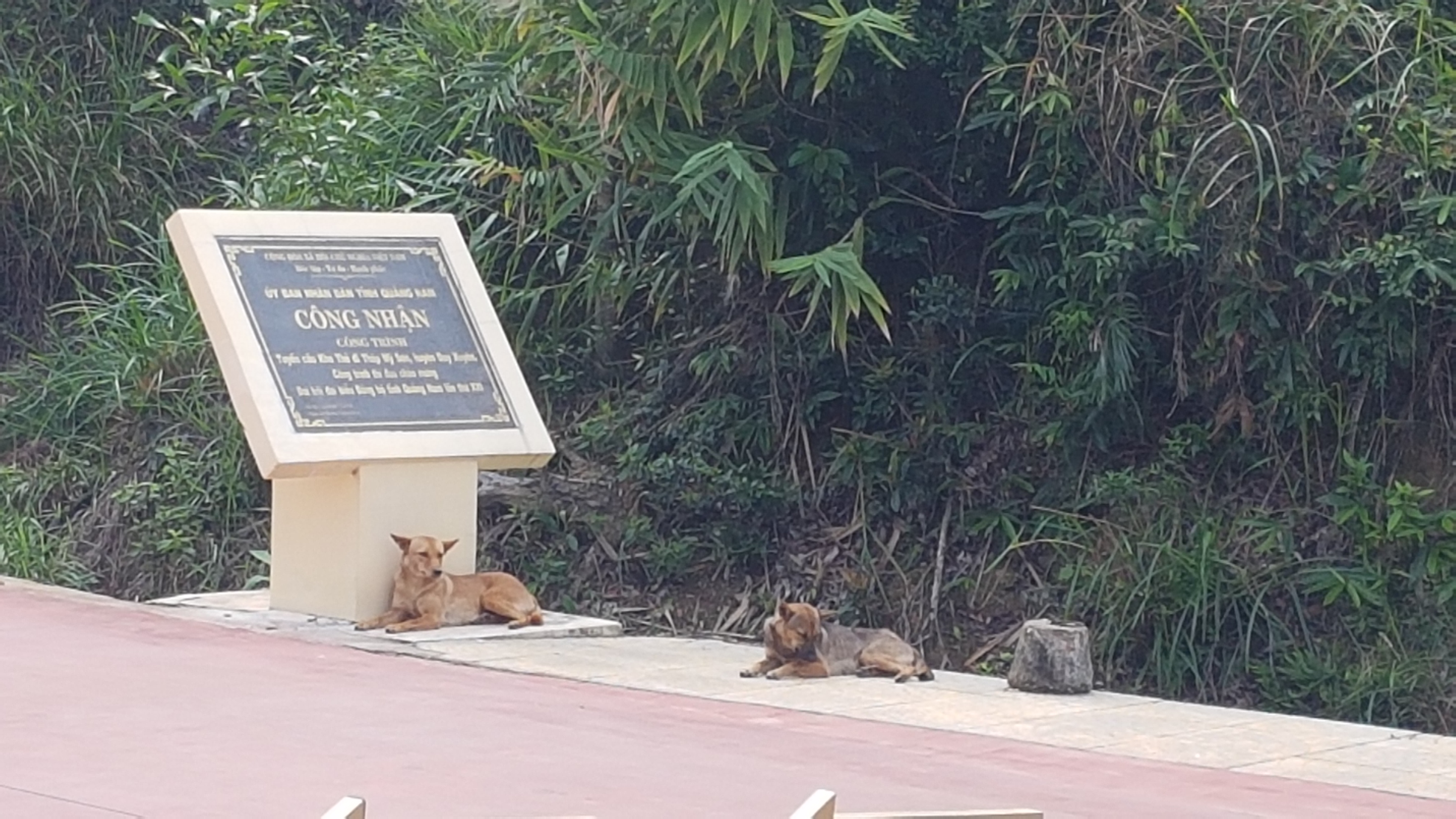 호이안 미선 유적지2