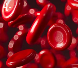 빈혈 증상 원인 치료 방법