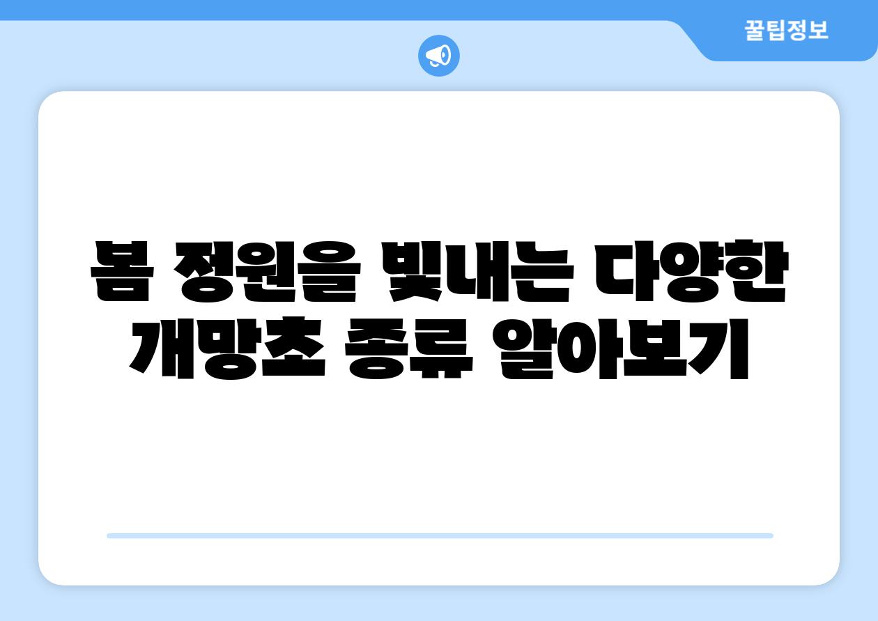 봄 정원을 빛내는 다양한 개망초 종류 알아보기