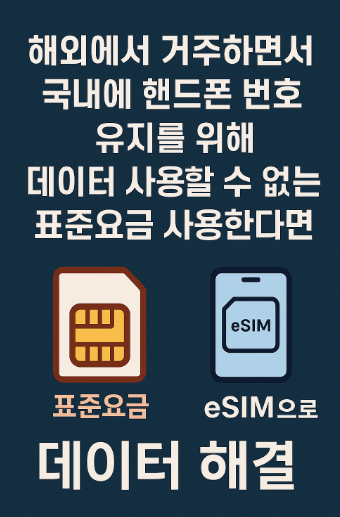 해외 체류 중 SKT 표준 요금제 + eSIM 조합, 데이터 통신 가장 효율적으로 사용하는 법