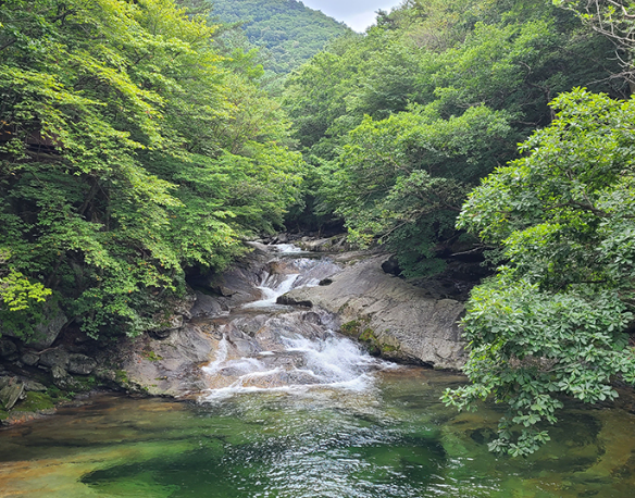 국내 6월 여행지