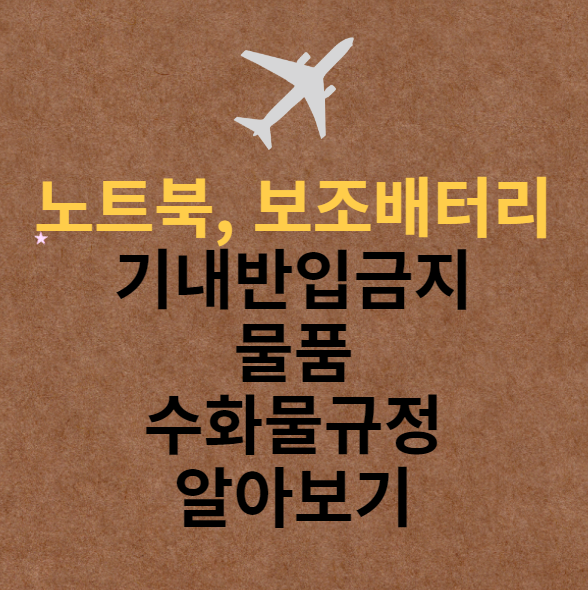 노트북보조밧데리비행기수화물
