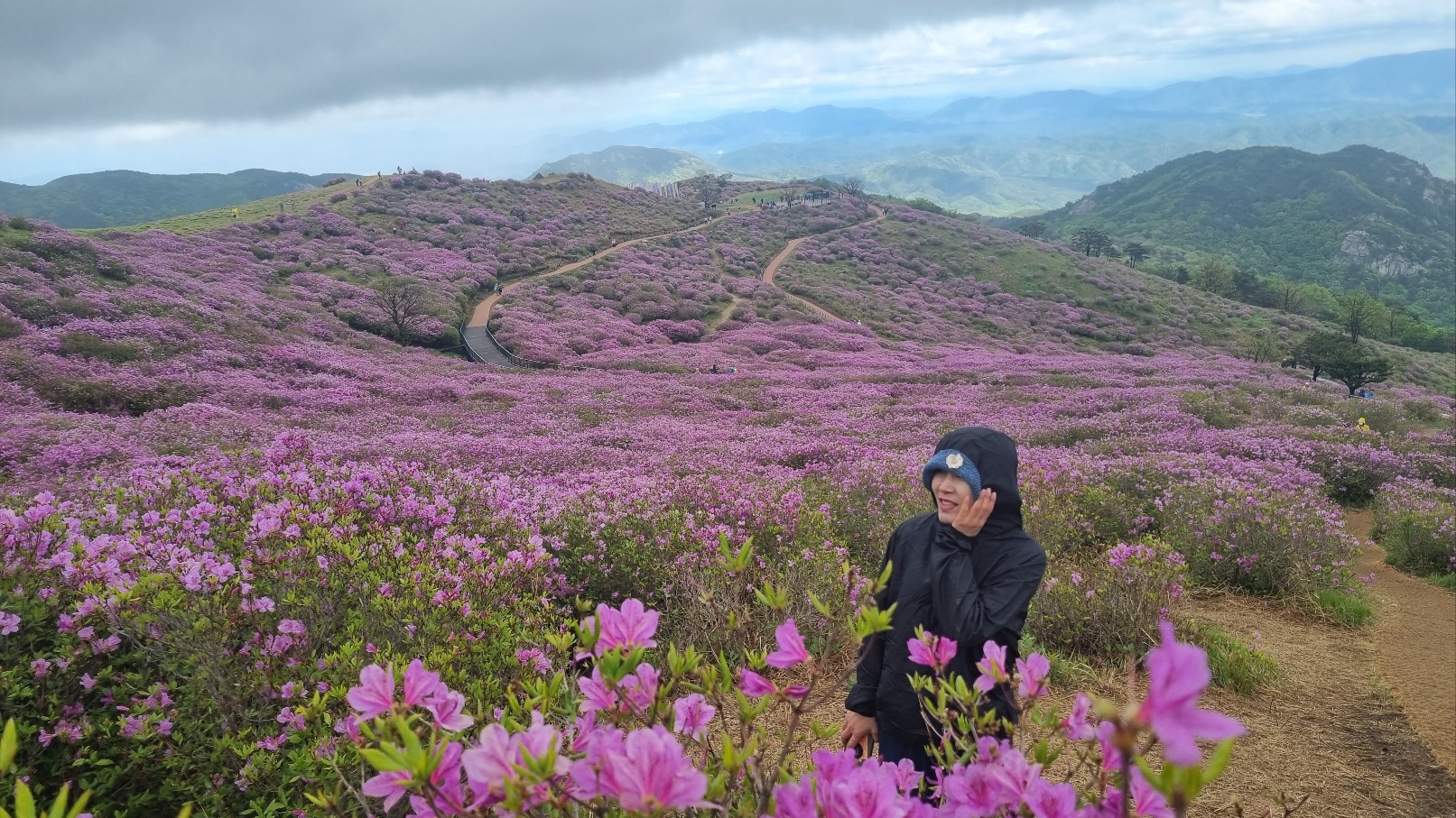 합천 황매산 철쭉23