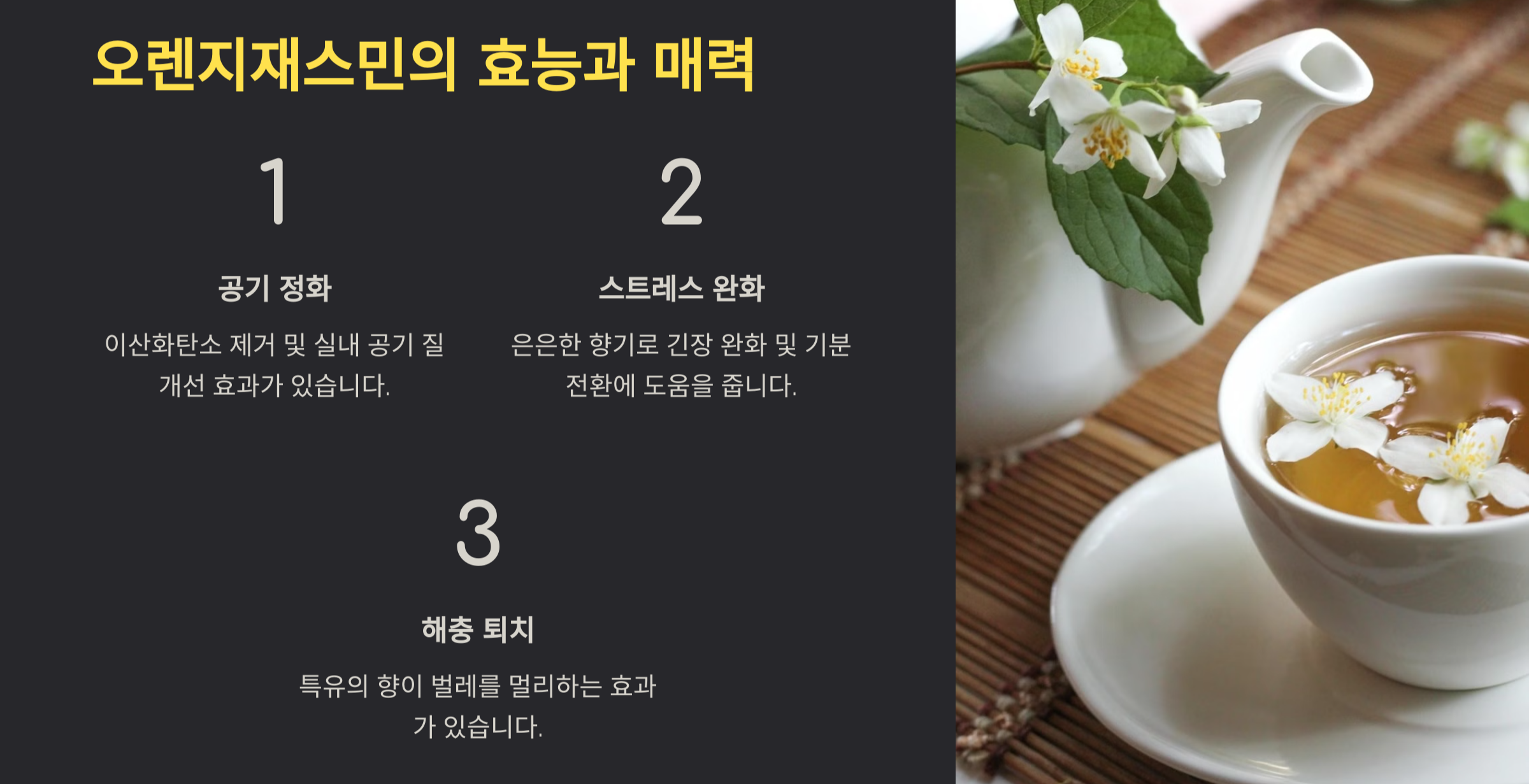 오렌지 자스민 사진