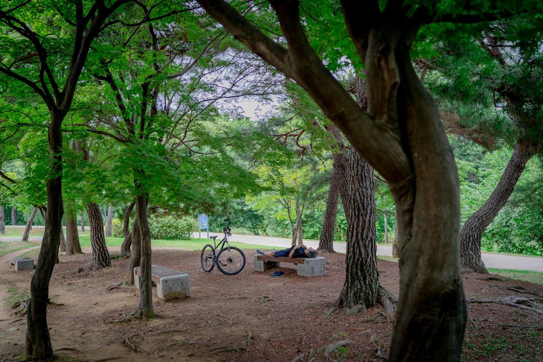 Rest area