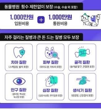 반려견 건강을 위한 첫걸음! 메리츠화재 펫퍼민트 보험의 모든 것