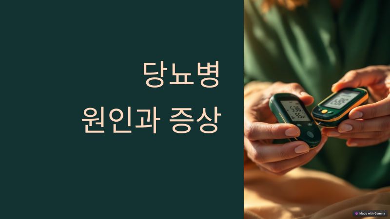 당뇨병 원인과 증상