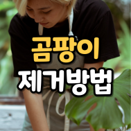 썸네일 입니다.