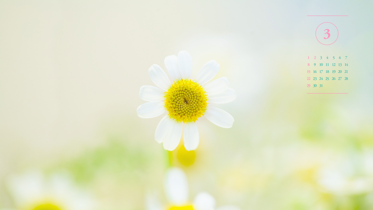 03 봄꽃 A - 2026년3월 달력배경화면