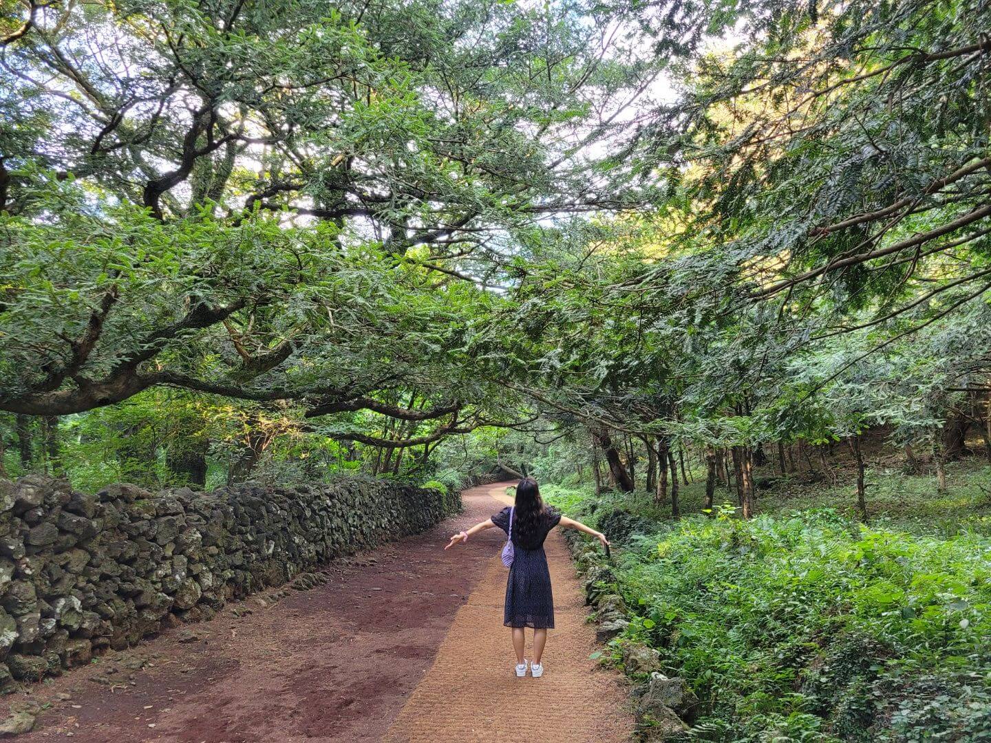 제주도 호텔 추천