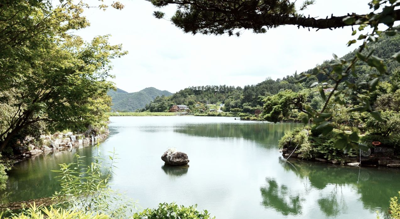 금산자연휴양림관련캠핑장