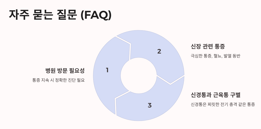 자주 묻는 질문 (FAQ)
