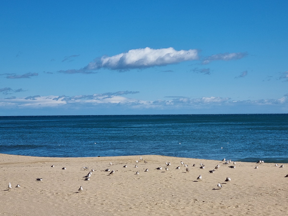 강원도 동해 가볼만한곳 한섬해수욕장 후기 ❘ 주차 빛터널 하대암 산책로