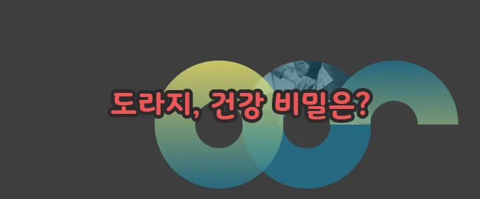 도라지 효능 부작용 섭취방법 알아볼게요
