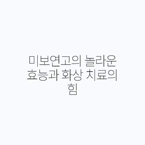 미보연고의 놀라운 효능과 화상 치료의 힘