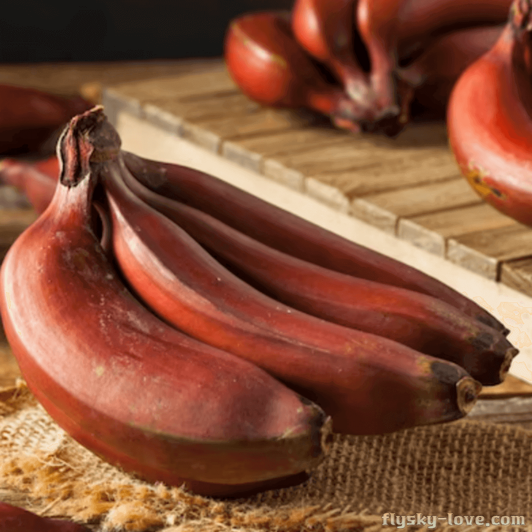 레드바나나 활용법