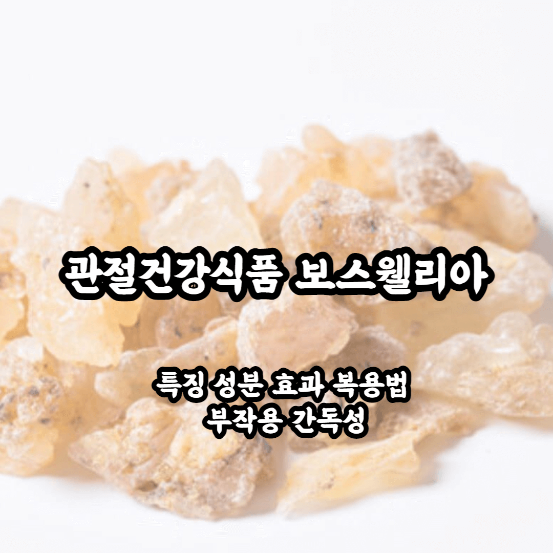 보스웰리아 특징 성분 효과 복용법 부작용까지 총정리
