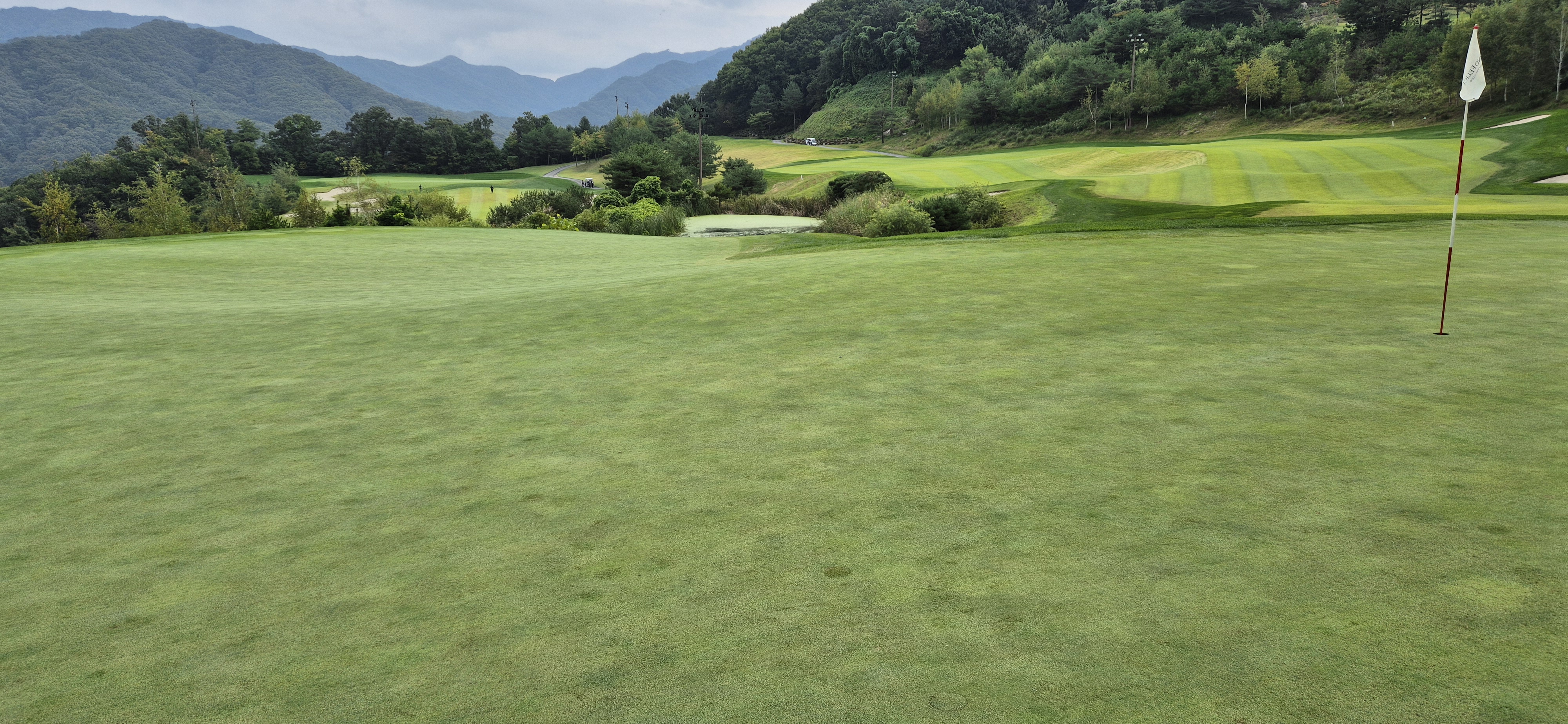 소노팰리체cc이스트