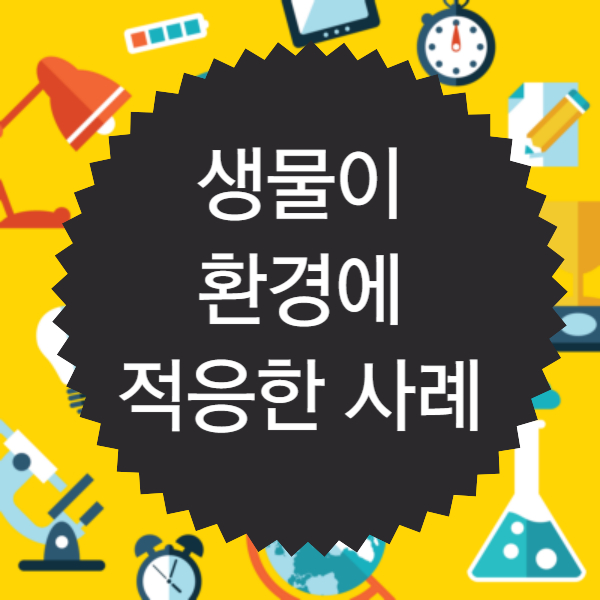 생물이 환경에 적응한 사례