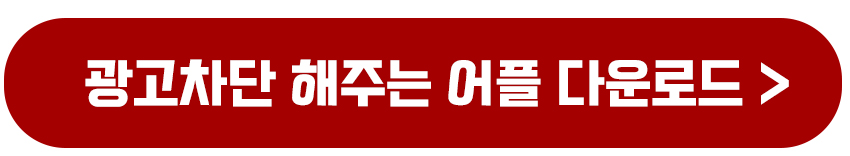 넷플릭스 광고형 요금제 광고없이 즐기는 방법과 차단 참고 주의사항