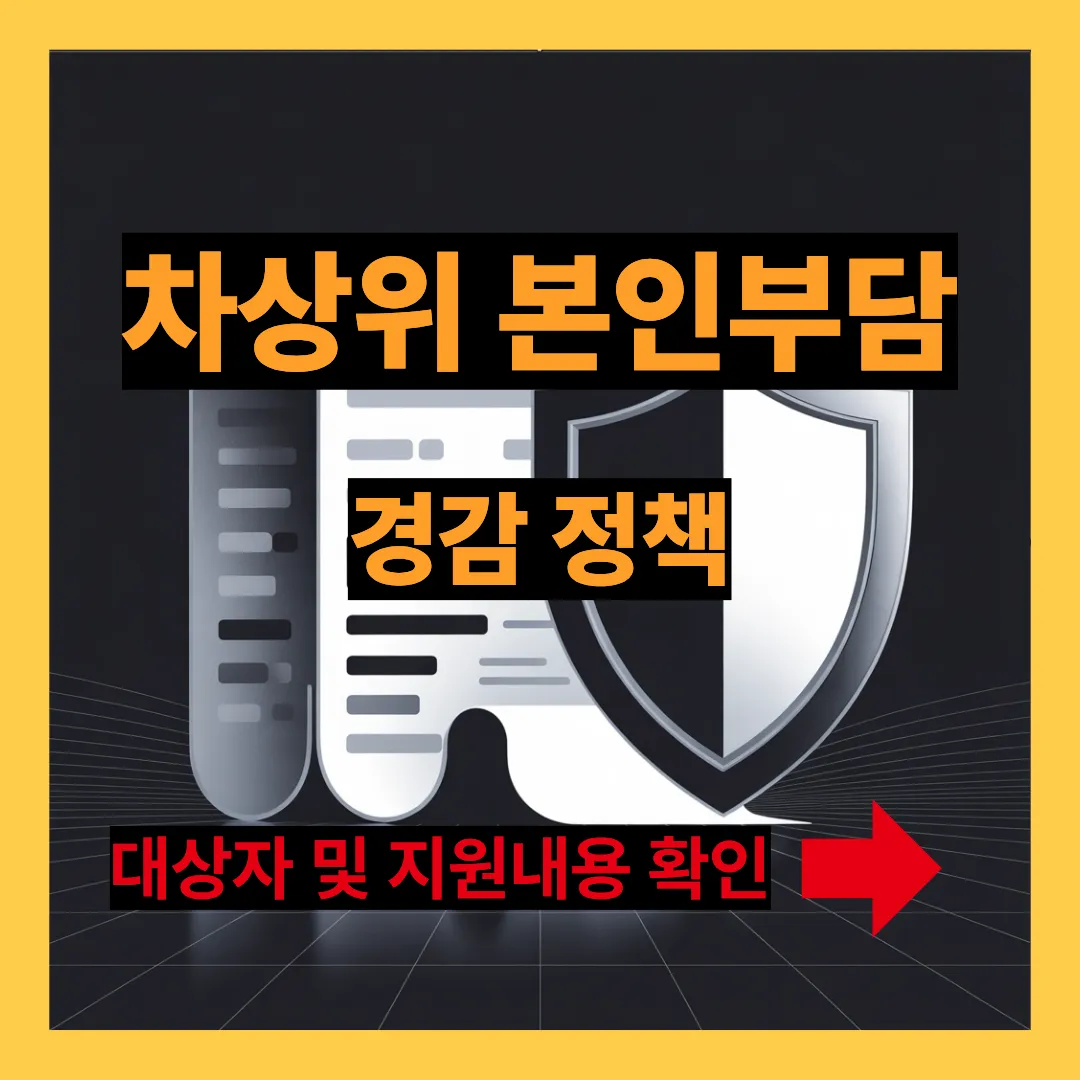 차상위 본인부담 경감 정책 대상자 및 지원내용