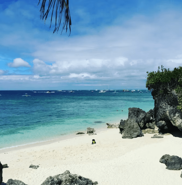 세부 다이빙 완벽 가이드: 초보부터 베테랑까지