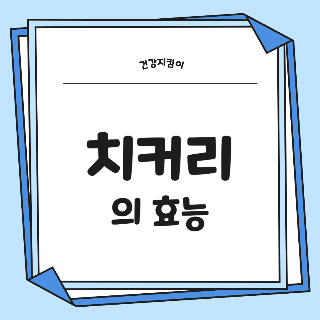 치커리 효능 부작용 뿌리 가루 고르는법 칼로리