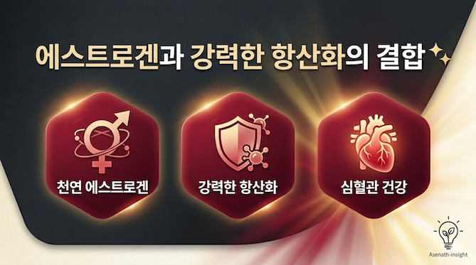 석류의 핵심 효능: 여성 호르몬과 강력한 항산화의 결합