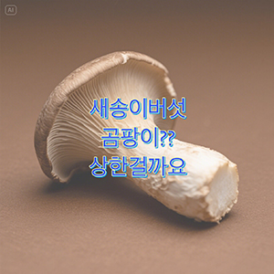 새송이버섯 곰팡이, 상했는지 구별법