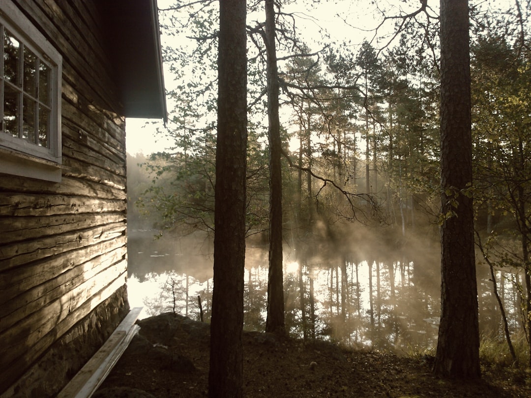 Cabin