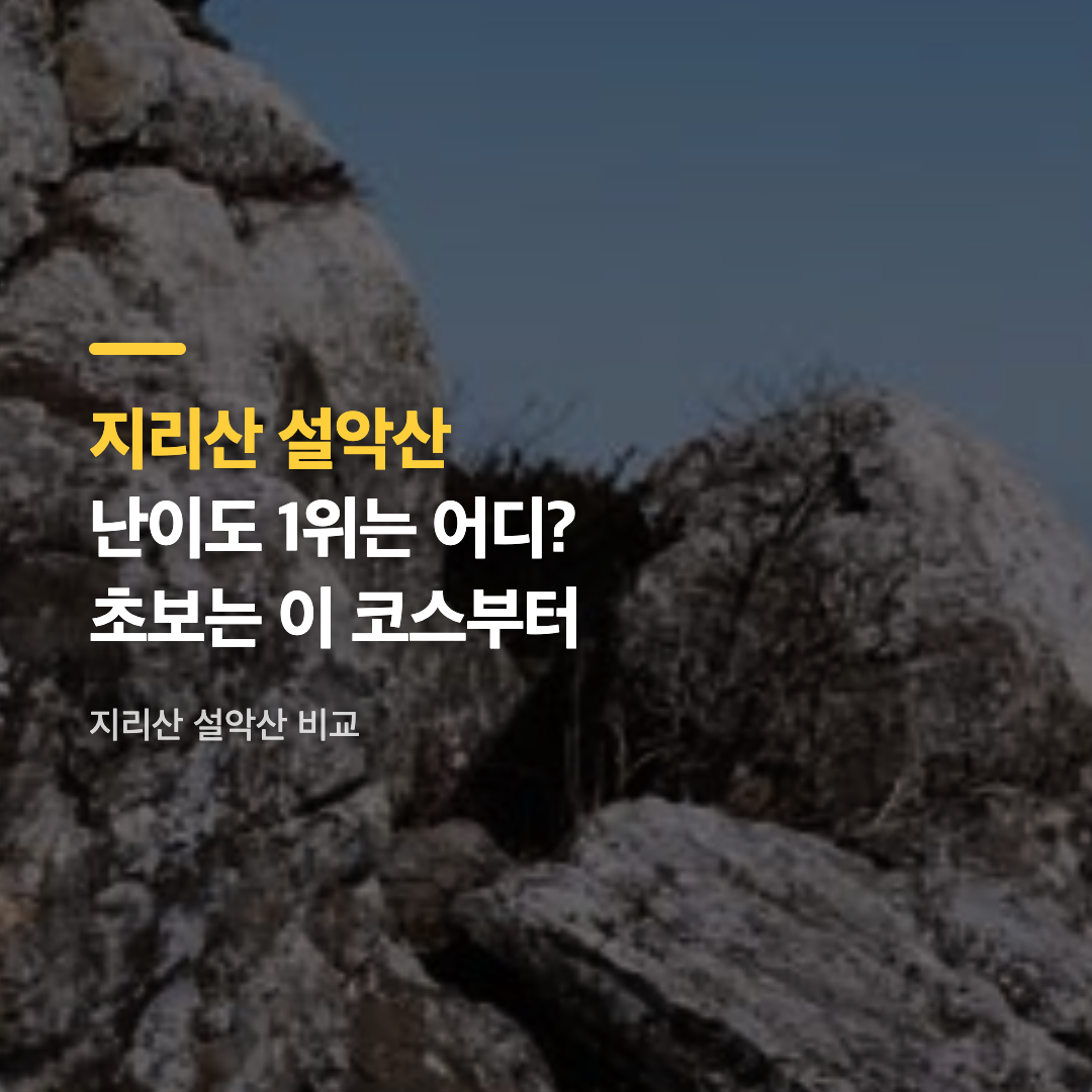 지리산 설악산 가을 등산 코스 비교에서 지리산의 완만한 능선을 보여주는 실사 풍경