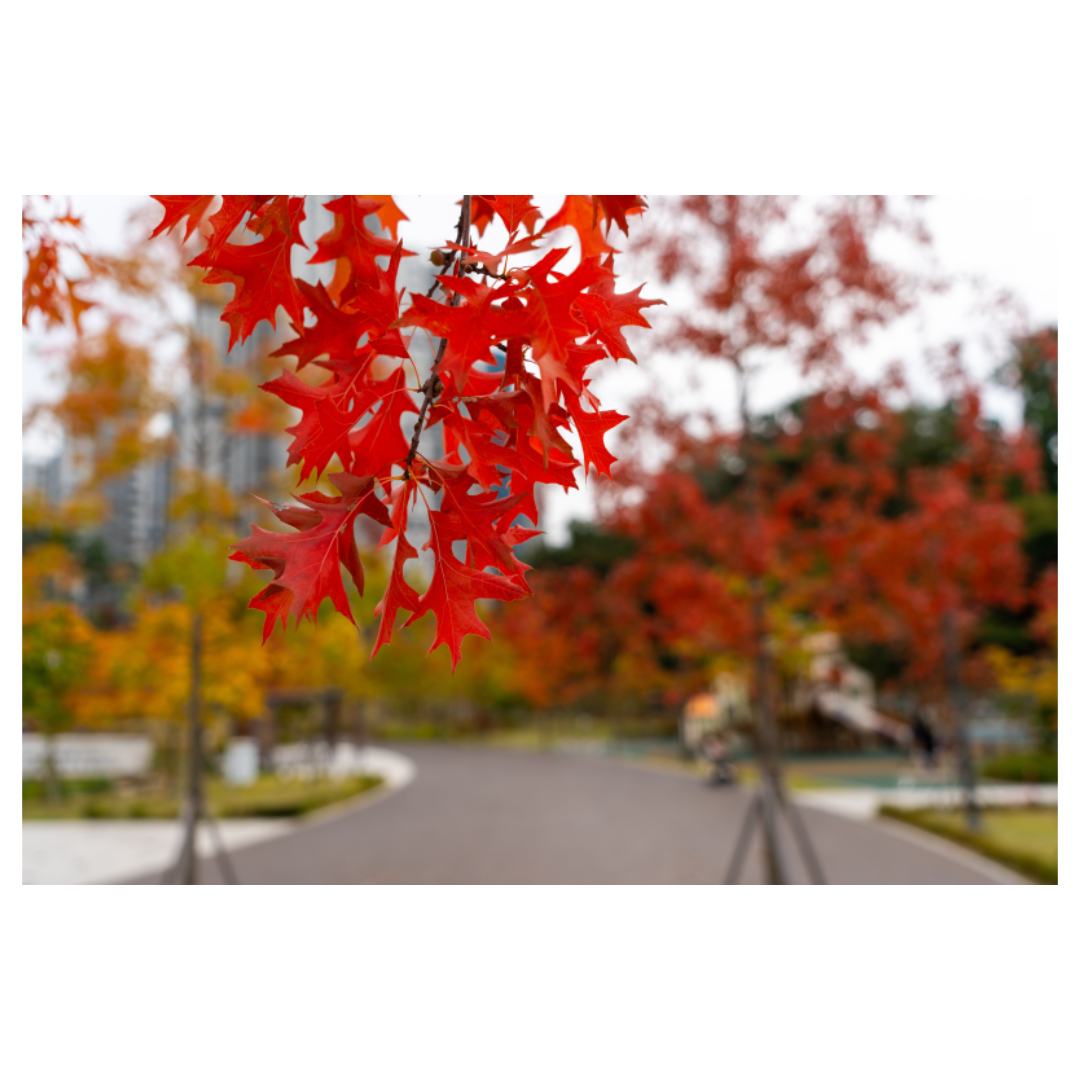 여주와 관련된 사진입니다.