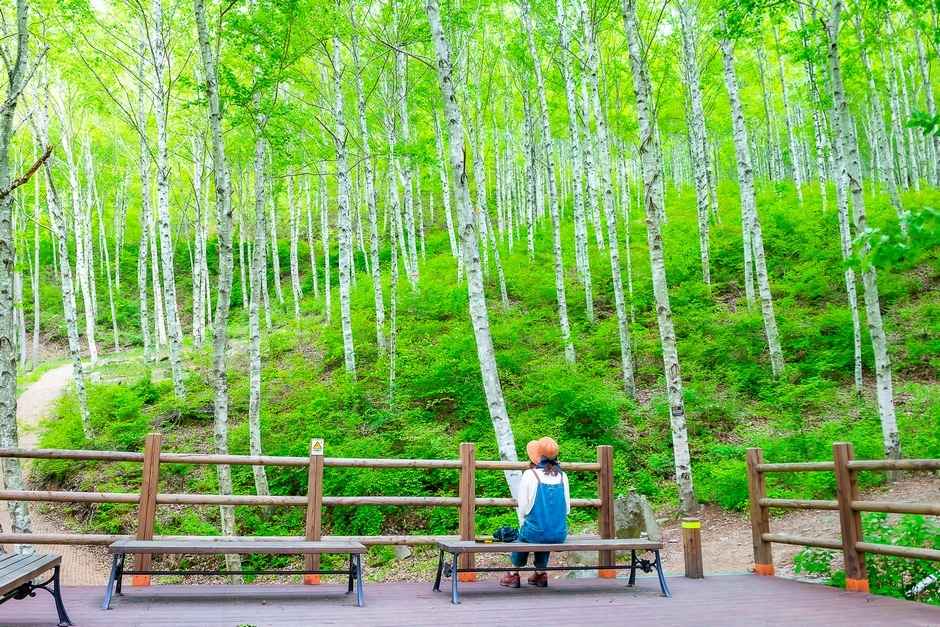 국립김천치유의숲