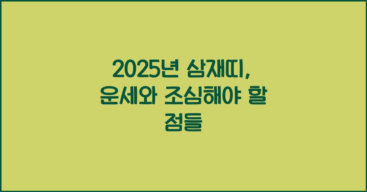 2025년 삼재띠