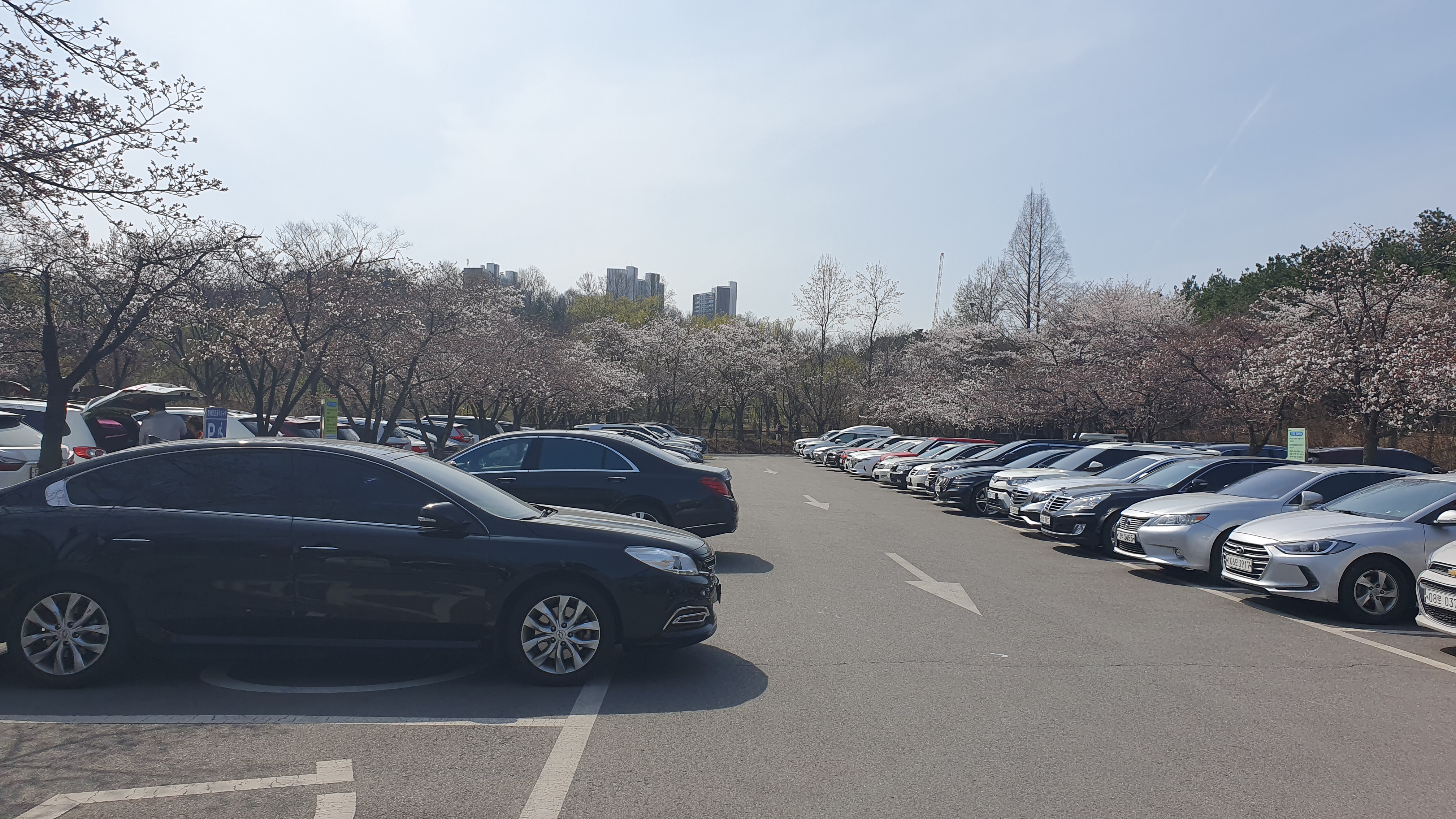 물향기수목원