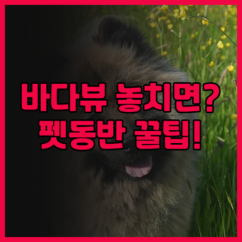 치셔 판모 시뷰 호텔 후기! 바다 전..