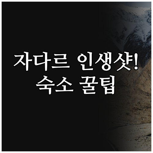 자다르에서 인생샷 남길 숙소 올드 타..