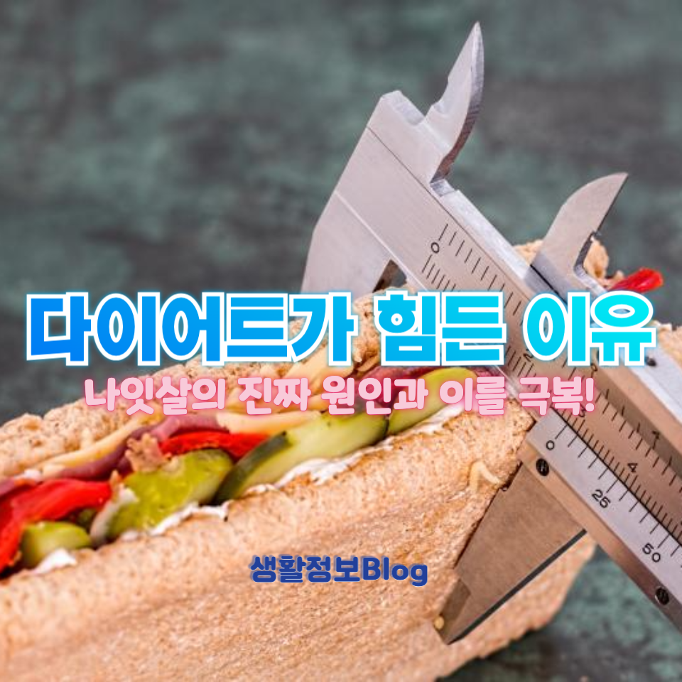다이어트가 힘든 이유