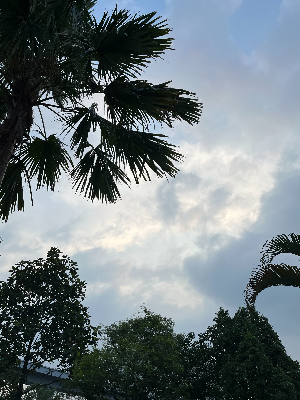 스마트폰 대신 하늘 보기, 아이에게 생기는 변화
