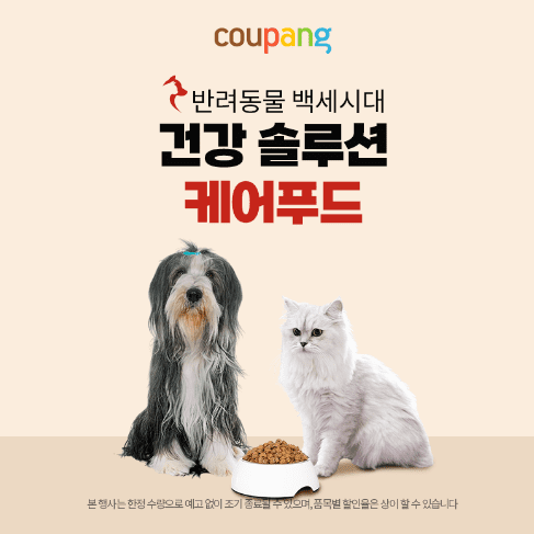 국제 강아지의 날