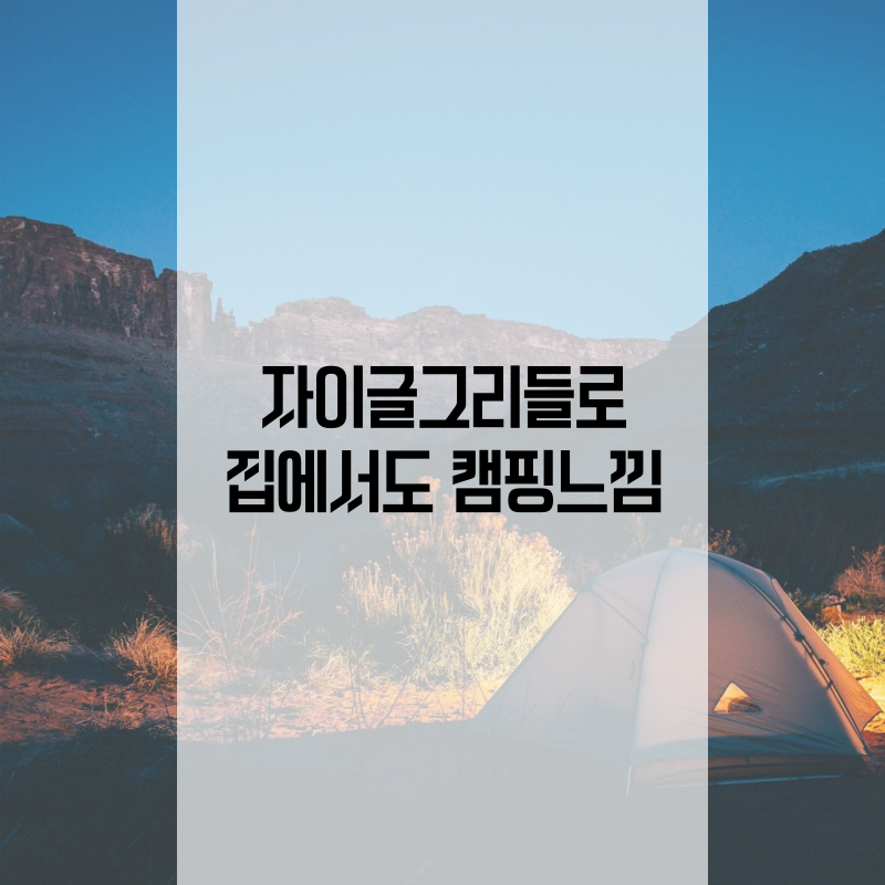 자이글그리들