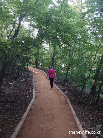 혼자서 조용히 맨발로 서울 어린이대공원 흙길을 걷고 있는 여성의 모습, 서울맨발 걷기 좋은곳