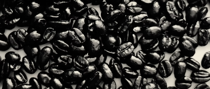 검정콩 사진