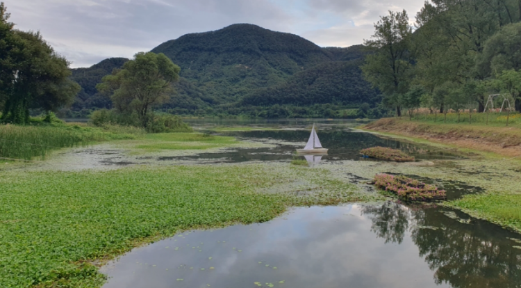 자라섬 꽃 페스타