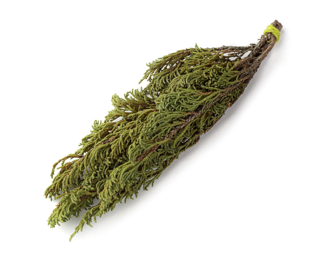 '우슬즙'의 가장 중요한 명사는 'herb'입니다.