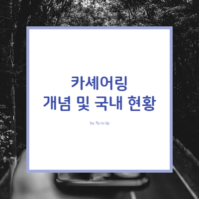 카셰어링 개념 및 국내 현황