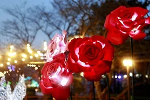 서울랜드_불빛축제_루나파크